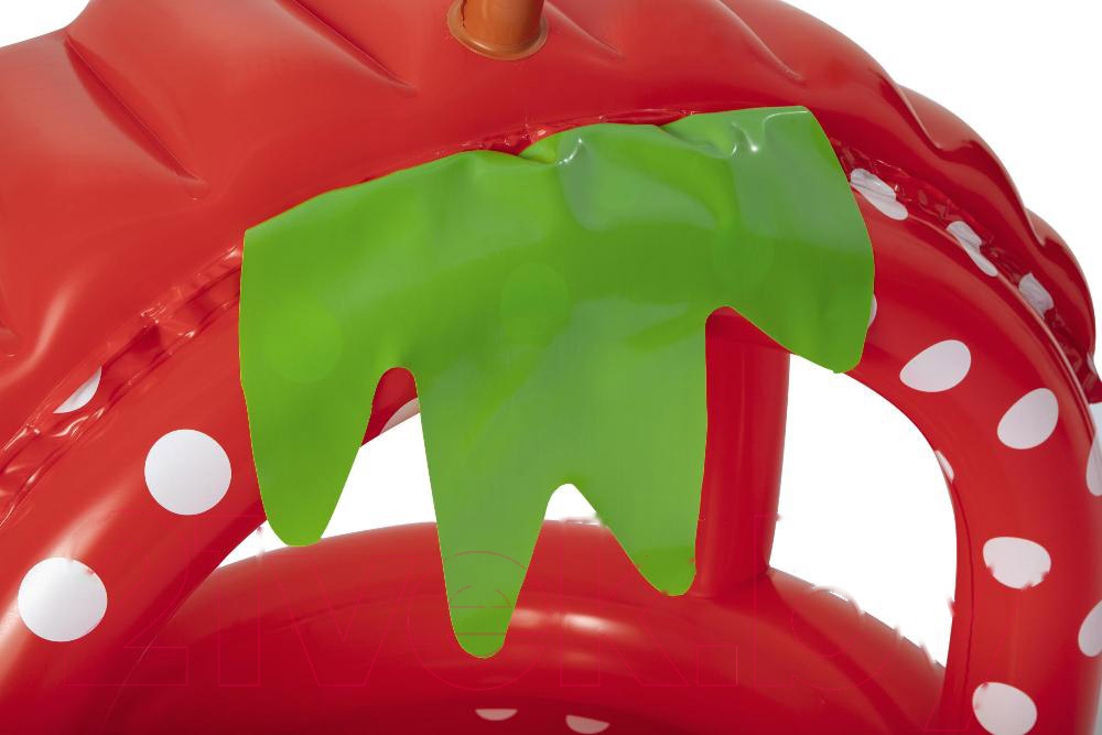 Покупка товаров в Беларуси, рассрочка, кредит, лизинг, оплата частями на platipotom.by, удобная доставка - фото надувной бассейн bestway very berry 52387 (91x91x91) 