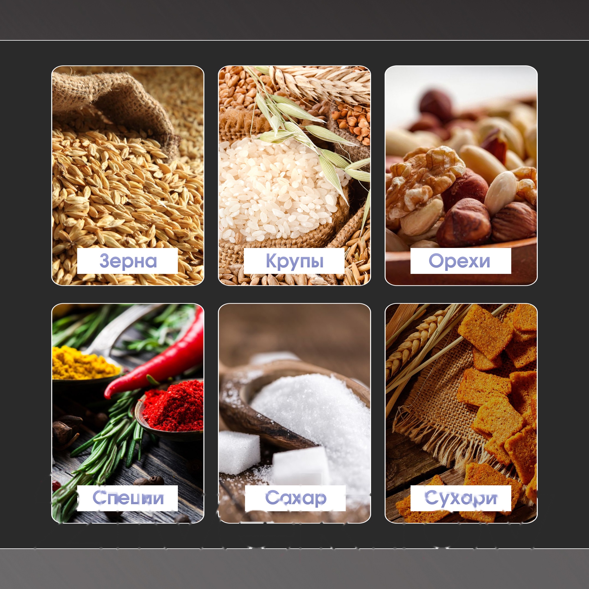 Покупка товаров в Беларуси, рассрочка, кредит, лизинг, оплата частями на platipotom.by, удобная доставка - фото кофемолка zigmund & shtain zcg-01 