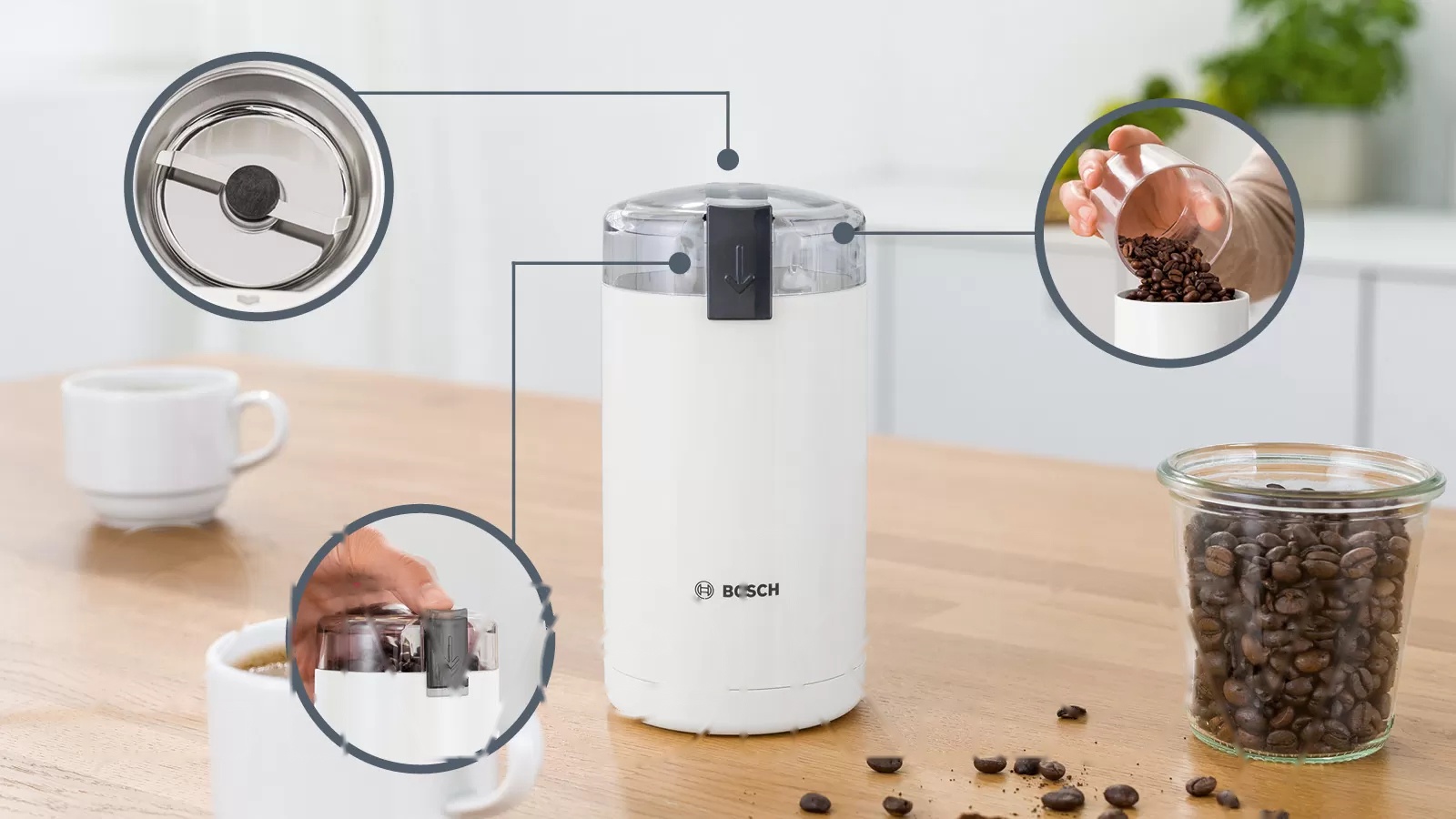 Покупка товаров в Беларуси, рассрочка, кредит, лизинг, оплата частями на platipotom.by, удобная доставка - фото кофемолка bosch tsm6a011w 