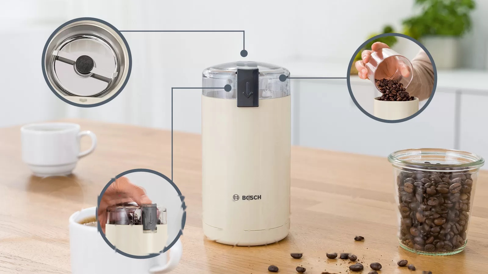 Покупка товаров в Беларуси, рассрочка, кредит, лизинг, оплата частями на platipotom.by, удобная доставка - фото кофемолка bosch tsm6a017c 